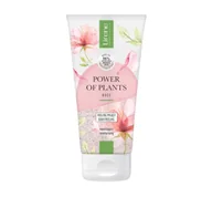 Peelingi do ciała - Lirene Power of Plants Nawilżający Peeling myjący Rose Touch 175 ml - miniaturka - grafika 1