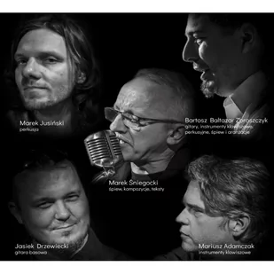 Verte - Verte płyta CD - Nośniki danych - miniaturka - grafika 3