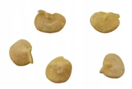 Nasiona i cebule - Nasiona papryka chili Habanero Czerwona świeża red - miniaturka - grafika 1