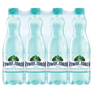 Żywiec Woda Lekki Gaz 0 5l 12 Szt 126L473 - Woda - miniaturka - grafika 1