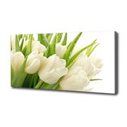 Obrazy i zdjęcia na płótnie - Foto obraz na płótnie Białe tulipany - miniaturka - grafika 1