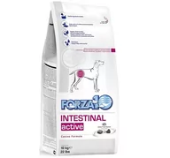 Sucha karma dla psów - Forza10 Intestinal Active 10 kg - miniaturka - grafika 1