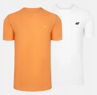 Koszulki męskie - T-SHIRT MĘSKI 4F KOSZULKA BAWEŁNIANA SPORTOWA BASIC ZESTAW 2SZT KOMPLET - miniaturka - grafika 1