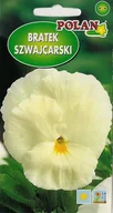 Nasiona i cebule - Bratek Szwajcarski Kremowy Biały 0.5 g POLAN - miniaturka - grafika 1