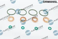 Układ zasilania - akcesoria - Zestaw uszczelek, dysza wtryskowa Dr.motor Automotive DRM009SL - miniaturka - grafika 1