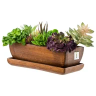 Donice - Kaktusiarka doniczka Ceramika brązowy mat 29cm z podstawką sukulenty - miniaturka - grafika 1