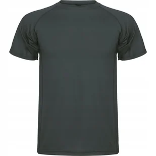Koszulka Sportowa Męska T-shirt CONTROL DRY ROLY 0425 GRAFIT DARK LEAD M - Koszulki męskie - miniaturka - grafika 1