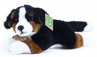 Maskotki i pluszaki - Pluszak maskotka Piesek Bernardyn Eco Friendly Prezent na święta - miniaturka - grafika 1