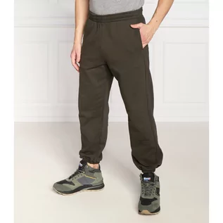 Spodnie męskie - Replay Spodnie dresowe | Regular Fit - grafika 1