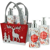 Zestawy kosmetyków damskich - zestaw: mydło w płynie do rąk, 250 ml + balsam do rąk, 250 ml - miniaturka - grafika 1