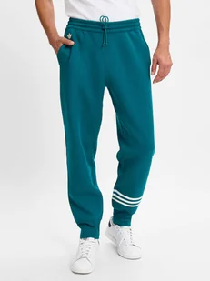 adidas Originals Męskie spodnie dresowe Mężczyźni zielony|niebieski jednolity, M - Spodnie męskie - miniaturka - grafika 1