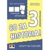 Pedagogika i dydaktyka - Dać rzeczy słowo Co za historia! ćw 3 elementy Iwona Pietrzyk Marika Litwin - miniaturka - grafika 1