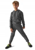 Spodnie damskie - Chłopięce spodnie dresowe 4F joggery M0811 25S szary 134 cm - miniaturka - grafika 1