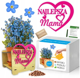 Zestaw do uprawy Niezapominajka DZIEŃ MATKI MAMY - Nasiona i cebule - miniaturka - grafika 1