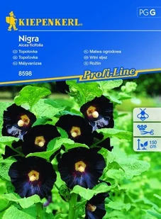 Malwa Ogrodowa Nigra – Kiepenkerl - Nasiona i cebule - miniaturka - grafika 1