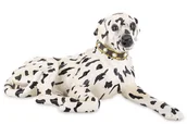 Figurki dekoracyjne - Figurka Dalmatyńczyk - miniaturka - grafika 1