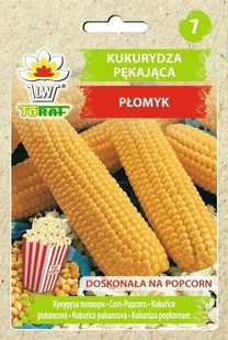 Kukurydza pękająca PŁOMYK (na popcorn) Zea mays L. convar. microsperma Koern. - Nasiona i cebule - miniaturka - grafika 1
