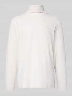 Golf o kroju regular fit z mieszanki bawełny - Swetry męskie Golf o kroju regular fit z mieszanki bawełny - Swetry męskie - miniaturka - grafika 1