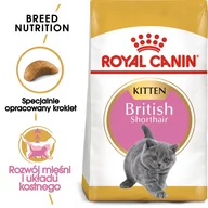 Sucha karma dla kotów - Royal Canin Kitten British Shorthair 10 kg - miniaturka - grafika 1