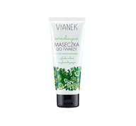 Maseczki do twarzy - Sylveco Vianek normalizująca maseczka do twarzy 75 ml 7086135 - miniaturka - grafika 1