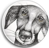 Magnesy - Magnes Pies Jurgen - miniaturka - grafika 1