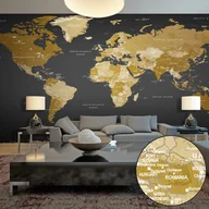 Fototapety - Fototapeta samoprzylepna - Mapa świata: Nowoczesna geografia II (rozmiar 490x280) - miniaturka - grafika 1