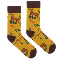 Skarpetki męskie - Skarpetki z bawełny organicznej - Leśne zwierzęta - KABAK 36-41 - miniaturka - grafika 1