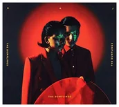 Muzyka elektroniczna - The Dumplings Raj - miniaturka - grafika 1