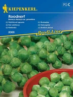 Nasiona i cebule - Brukselka ROODNERF kapusta brukselska nasiona Kiepenkerl - miniaturka - grafika 1