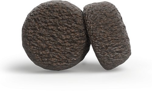 Josera Josera Adult Festival 12,5kg 50014785 + Miska podróżna