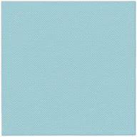 Szkolne artykuły papiernicze - Serwetki Paw Softpoint Unicolor błękitny bibuła [mm:] 380x380 (PUND000015) - miniaturka - grafika 1
