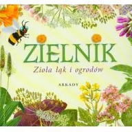 Książki medyczne - Zielnik Zioła łąk i ogrodów - miniaturka - grafika 1