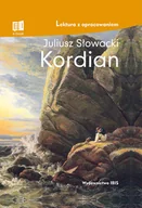 Pozostałe książki - Ibis Kordian - miniaturka - grafika 1