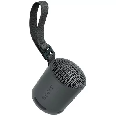 Głośnik bezprzewodowy SONY SRS-XB100 Czarny