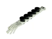 Halloween - Ramię kościotrupa z kieliszkami - 1 op. - miniaturka - grafika 1