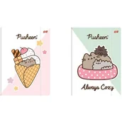 Teczki i skoroszyty - Teczka z gumką A4 300g. PUSHEEN mkmo St.Majewski - miniaturka - grafika 1