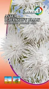 Aster igiełkowy biały 1g / L / - Nasiona i cebule - miniaturka - grafika 1