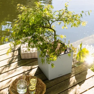 Donica Lechuza CANTO Stone Kolumna 40 LED grafitowy czarny - Donice - miniaturka - grafika 6