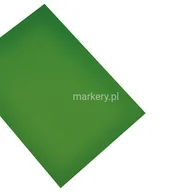 Pozostałe akcesoria kuchenne - magnetoplan Papier  magnes arkusz Din A4, zielony 4013695008219 1266005 - miniaturka - grafika 1