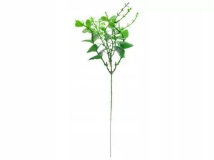 Gałązka bukszpanu 20 cm Wiosna wielkanoc - Wielkanoc - miniaturka - grafika 1