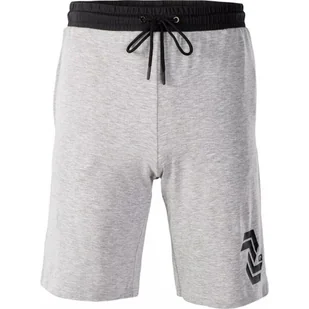 Męskie spodenki treningowe IQ CONI II - Spodnie sportowe męskie - miniaturka - grafika 1