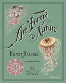Obcojęzyczne książki o kulturze i sztuce - Ernst Haeckel Art Forms in Nature 22 Pull-Out Posters - miniaturka - grafika 1