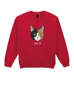 Bluzy męskie - Bluza bez kaptura Dachowiec Czarno Brązowy Pupil Kotek Kot Czerwona M - miniaturka - grafika 1