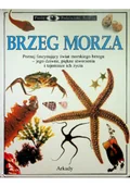 Nauki przyrodnicze - Brzeg morza - miniaturka - grafika 1