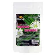 Suplementy diety - PROHERBIS (YUCCA) PROHERBIS Gorzknik Kanadyjski ekstrakt 5% berberyny 30g 31PROGORZK - miniaturka - grafika 1