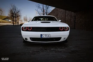 Co-drive Dodge Challenger ulicami miast - Czasopisma - miniaturka - grafika 1