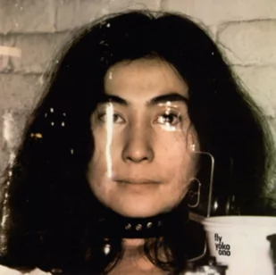 Fly (Yoko Ono) (Vinyl / 12" Remastered Album) - Winyle - miniaturka - grafika 1