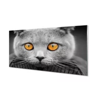 Dekoracje domu - Panel między szafki  Szary kot brytyjski 120x60 cm - miniaturka - grafika 1