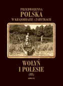 Książki regionalne - Wołyń i Polesie. Przedwojenna Polska w krajobrazie i zabytkach - miniaturka - grafika 1
