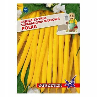 Fasola żółta karłowa Polka 40g / O / - Nasiona i cebule - miniaturka - grafika 1